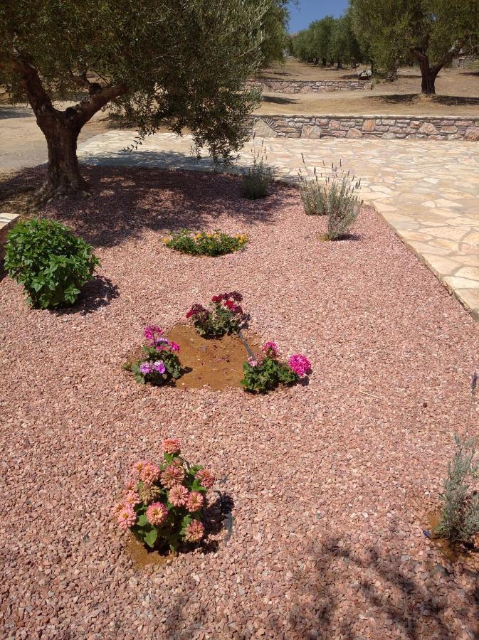 Aggeliki House 5 Villa Kompoi ภายนอก รูปภาพ